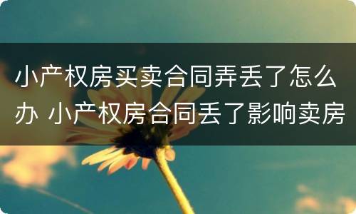 小产权房买卖合同弄丢了怎么办 小产权房合同丢了影响卖房吗