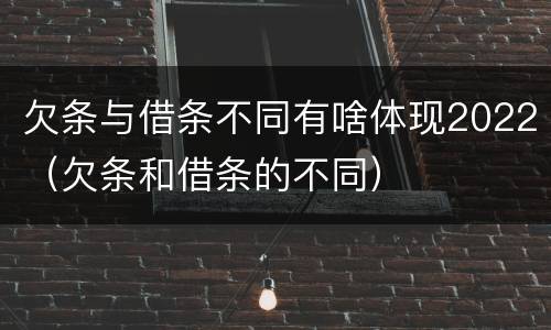 欠条与借条不同有啥体现2022（欠条和借条的不同）