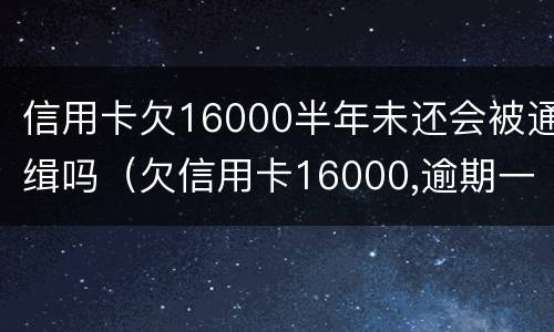 信用卡欠16000半年未还会被通缉吗（欠信用卡16000,逾期一年了会坐牢么?）