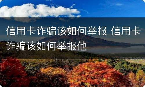 信用卡诈骗该如何举报 信用卡诈骗该如何举报他