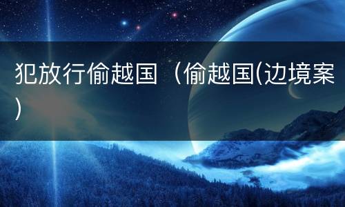 犯放行偷越国（偷越国(边境案）