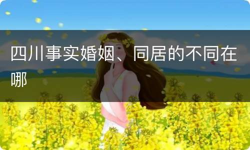 四川事实婚姻、同居的不同在哪