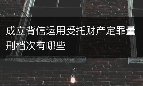 成立背信运用受托财产定罪量刑档次有哪些