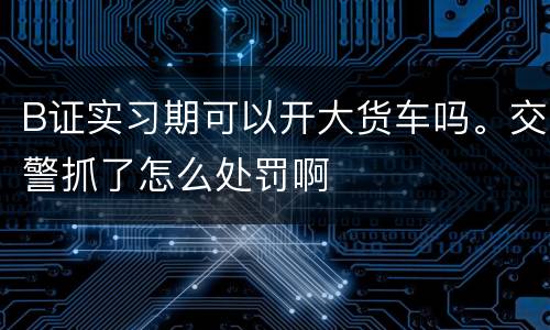 B证实习期可以开大货车吗。交警抓了怎么处罚啊
