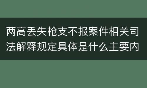 两高丢失枪支不报案件相关司法解释规定具体是什么主要内容