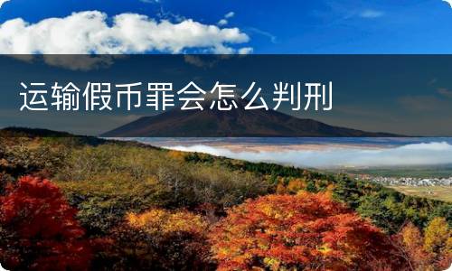 运输假币罪会怎么判刑