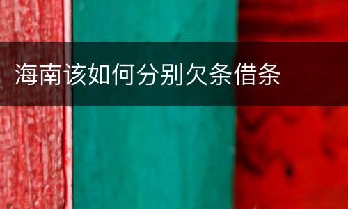 海南该如何分别欠条借条