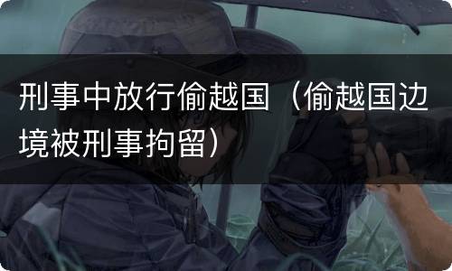 刑事中放行偷越国（偷越国边境被刑事拘留）