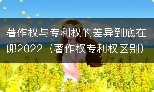 著作权与专利权的差异到底在哪2022（著作权专利权区别）