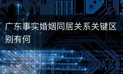 广东事实婚姻同居关系关键区别有何