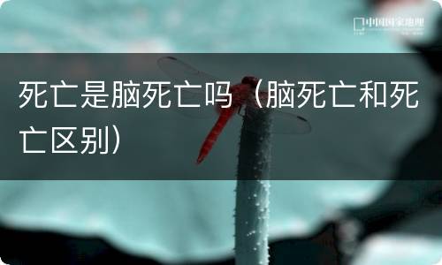 死亡是脑死亡吗（脑死亡和死亡区别）