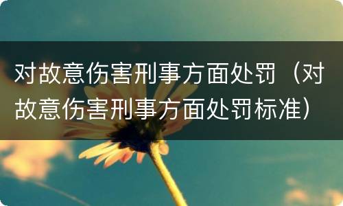 对故意伤害刑事方面处罚（对故意伤害刑事方面处罚标准）