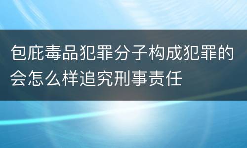 包庇毒品犯罪分子构成犯罪的会怎么样追究刑事责任