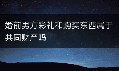婚前男方彩礼和购买东西属于共同财产吗