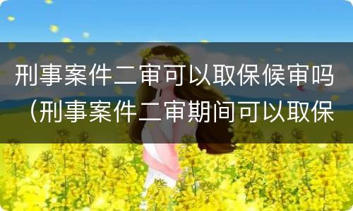 刑事案件二审可以取保候审吗（刑事案件二审期间可以取保候审吗）