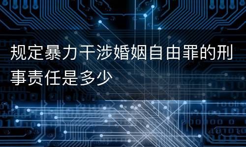 规定暴力干涉婚姻自由罪的刑事责任是多少