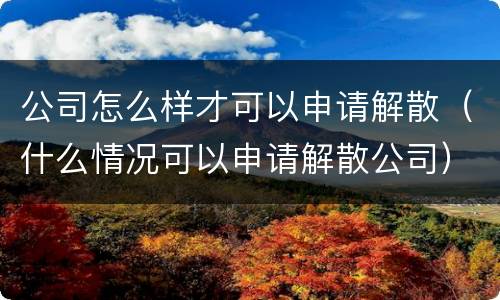 公司怎么样才可以申请解散（什么情况可以申请解散公司）