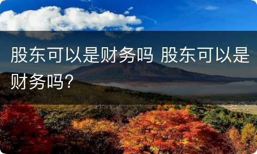 股东可以是财务吗 股东可以是财务吗?