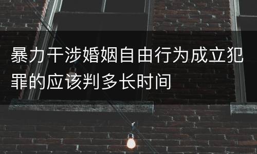 暴力干涉婚姻自由行为成立犯罪的应该判多长时间