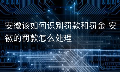 安徽该如何识别罚款和罚金 安徽的罚款怎么处理