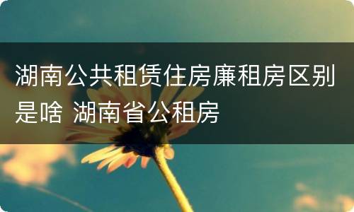 湖南公共租赁住房廉租房区别是啥 湖南省公租房