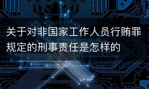 关于对非国家工作人员行贿罪规定的刑事责任是怎样的