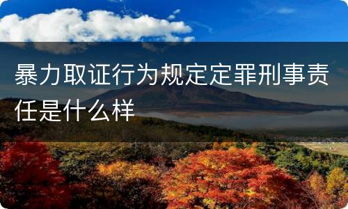暴力取证行为规定定罪刑事责任是什么样
