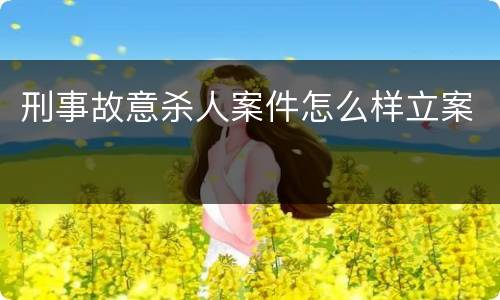 刑事故意杀人案件怎么样立案