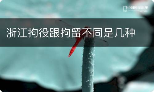 浙江拘役跟拘留不同是几种