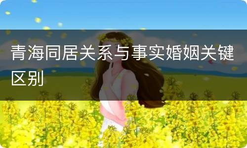 青海同居关系与事实婚姻关键区别