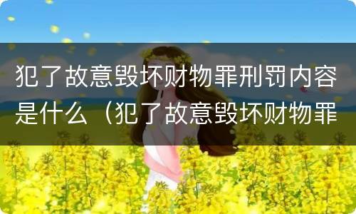 犯了故意毁坏财物罪刑罚内容是什么（犯了故意毁坏财物罪刑罚内容是什么意思）