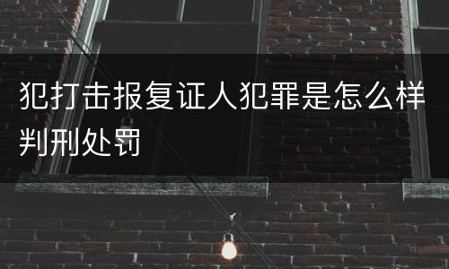犯打击报复证人犯罪是怎么样判刑处罚