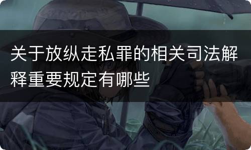 关于放纵走私罪的相关司法解释重要规定有哪些