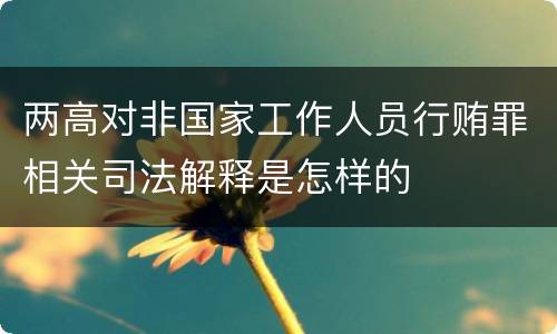 两高对非国家工作人员行贿罪相关司法解释是怎样的