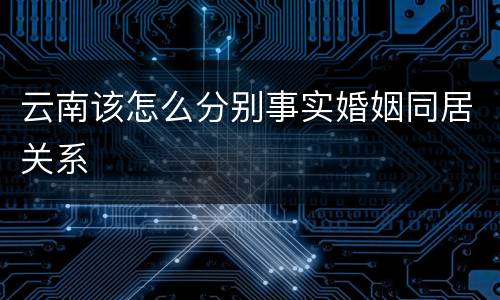 云南该怎么分别事实婚姻同居关系