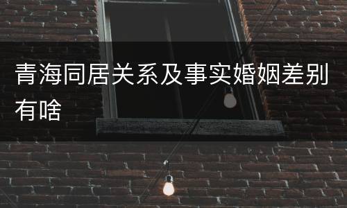 青海同居关系及事实婚姻差别有啥
