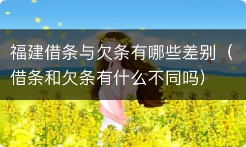 福建借条与欠条有哪些差别（借条和欠条有什么不同吗）