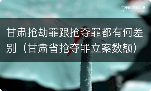 甘肃抢劫罪跟抢夺罪都有何差别（甘肃省抢夺罪立案数额）