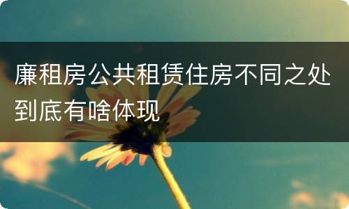 廉租房公共租赁住房不同之处到底有啥体现