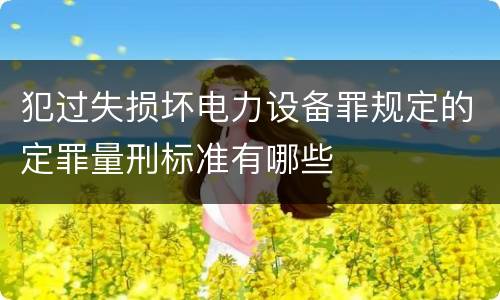 犯过失损坏电力设备罪规定的定罪量刑标准有哪些