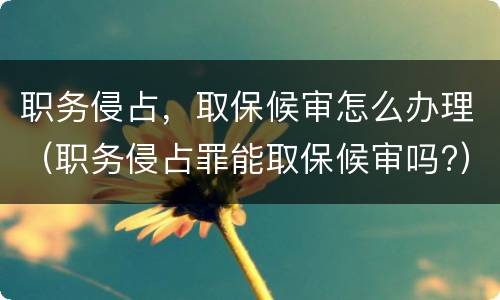 职务侵占，取保候审怎么办理（职务侵占罪能取保候审吗?）