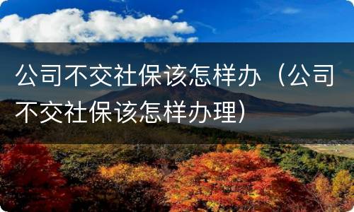 公司不交社保该怎样办（公司不交社保该怎样办理）
