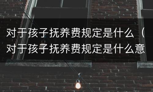 对于孩子抚养费规定是什么（对于孩子抚养费规定是什么意思）