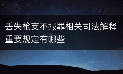丢失枪支不报罪相关司法解释重要规定有哪些