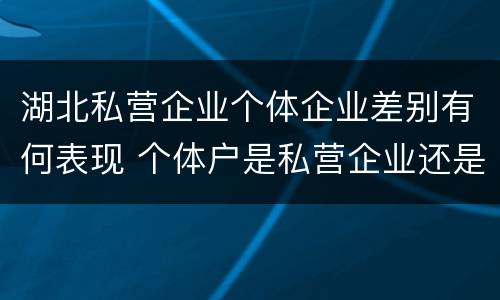 湖北私营企业个体企业差别有何表现 个体户是私营企业还是民营企业