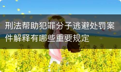 刑法帮助犯罪分子逃避处罚案件解释有哪些重要规定
