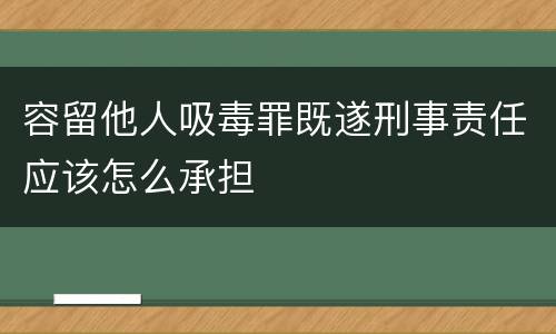 容留他人吸毒罪既遂刑事责任应该怎么承担