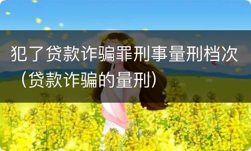 犯了贷款诈骗罪刑事量刑档次（贷款诈骗的量刑）