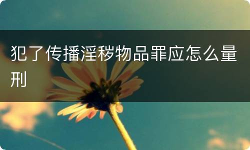 犯了传播淫秽物品罪应怎么量刑