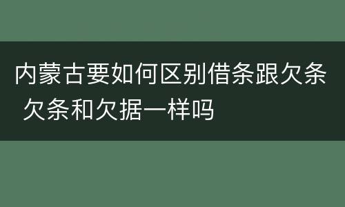 内蒙古要如何区别借条跟欠条 欠条和欠据一样吗